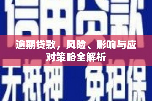 郑州逾期贷款，风险、影响与应对策略全解析