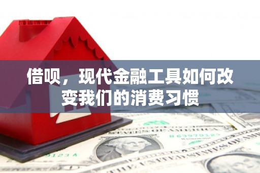 合阳借呗，现代金融工具如何改变我们的消费习惯