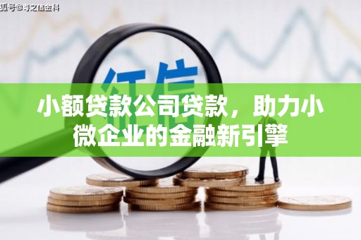 忻府小额贷款公司贷款，助力小微企业的金融新引擎