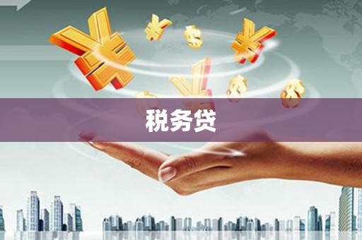 泽库税务贷