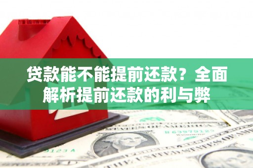 乳源贷款能不能提前还款？全面解析提前还款的利与弊