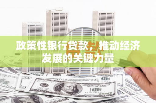大丰政策性银行贷款，推动经济发展的关键力量