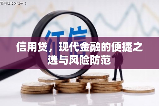 太康信用贷，现代金融的便捷之选与风险防范