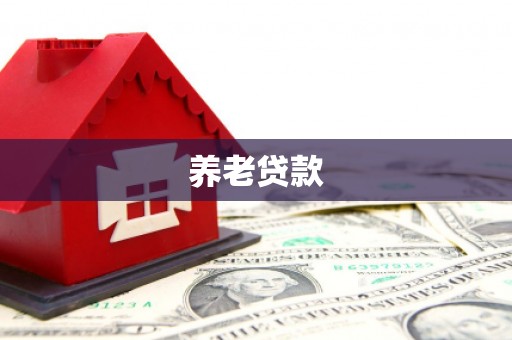 疏附养老贷款