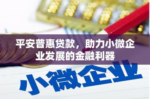 水里平安普惠贷款，助力小微企业发展的金融利器