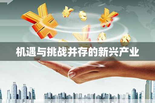淮上机遇与挑战并存的新兴产业