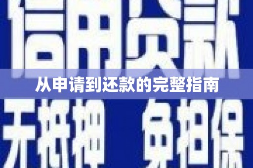 龙江从申请到还款的完整指南