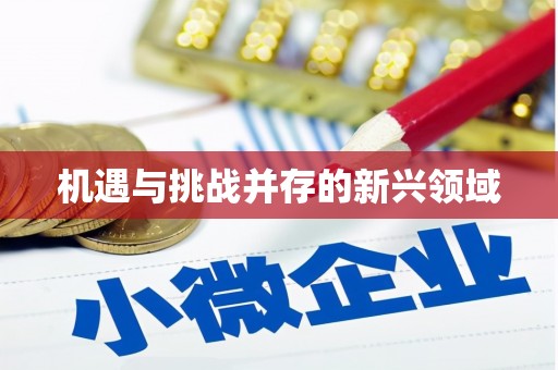 光明新区机遇与挑战并存的新兴领域