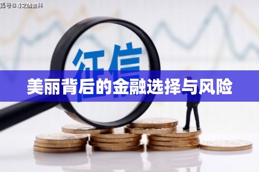 定结美丽背后的金融选择与风险