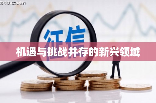 四川机遇与挑战并存的新兴领域