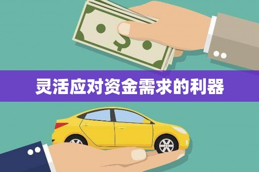 锡林郭勒盟灵活应对资金需求的利器