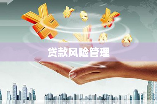 芦溪贷款风险管理